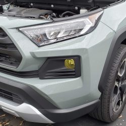 Fog Light Tint - Thumbnail